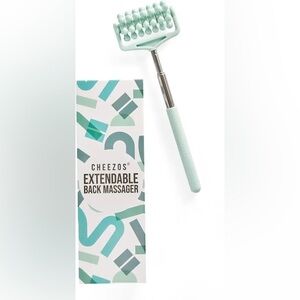 Mint Extendable Back Massager